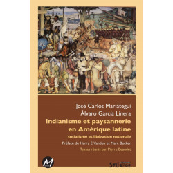 Indianisme et paysannnerie en Amérique latine : Chapter 1