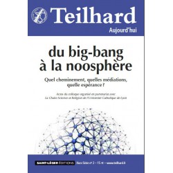 Revue Teilhard Aujourd'hui : Du big-bang à la noosphère : Chapter 1