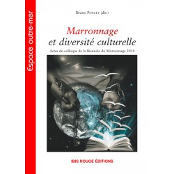 Marronnage et diversité culturelle, sous la direction de Bruno Poucet : Chapter 1